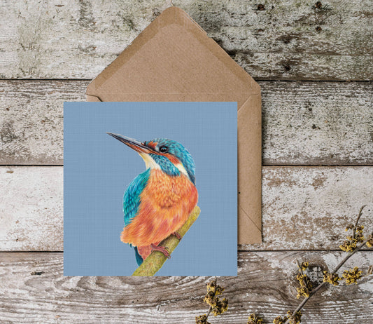 Kingfisher Greetings Card