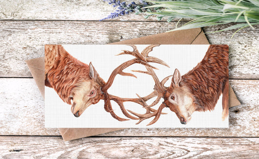 Rutting Stags Greetings Card